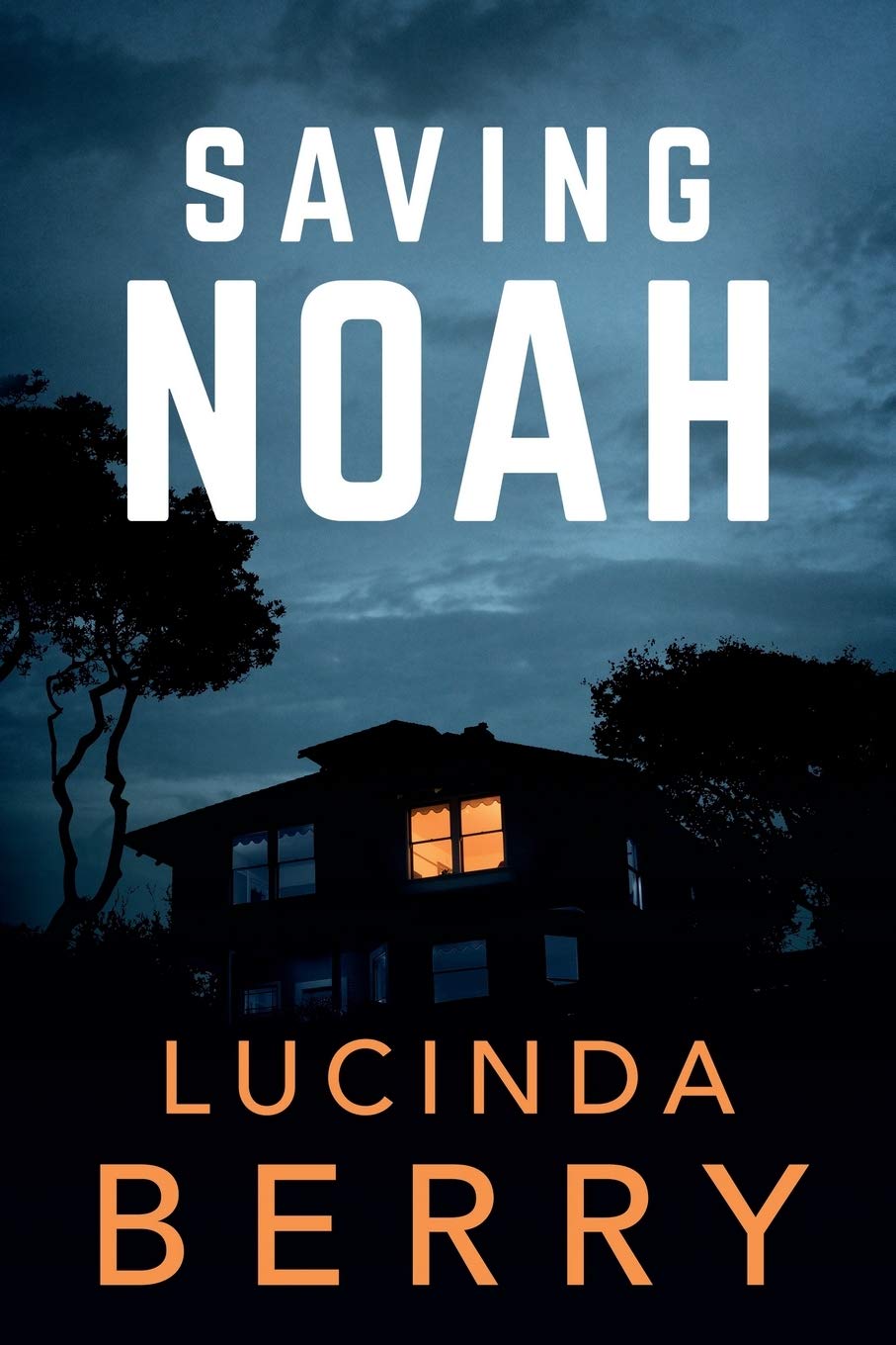 Saving Noah book cover by Lucinda Berry, thriller novel available in Trinidad