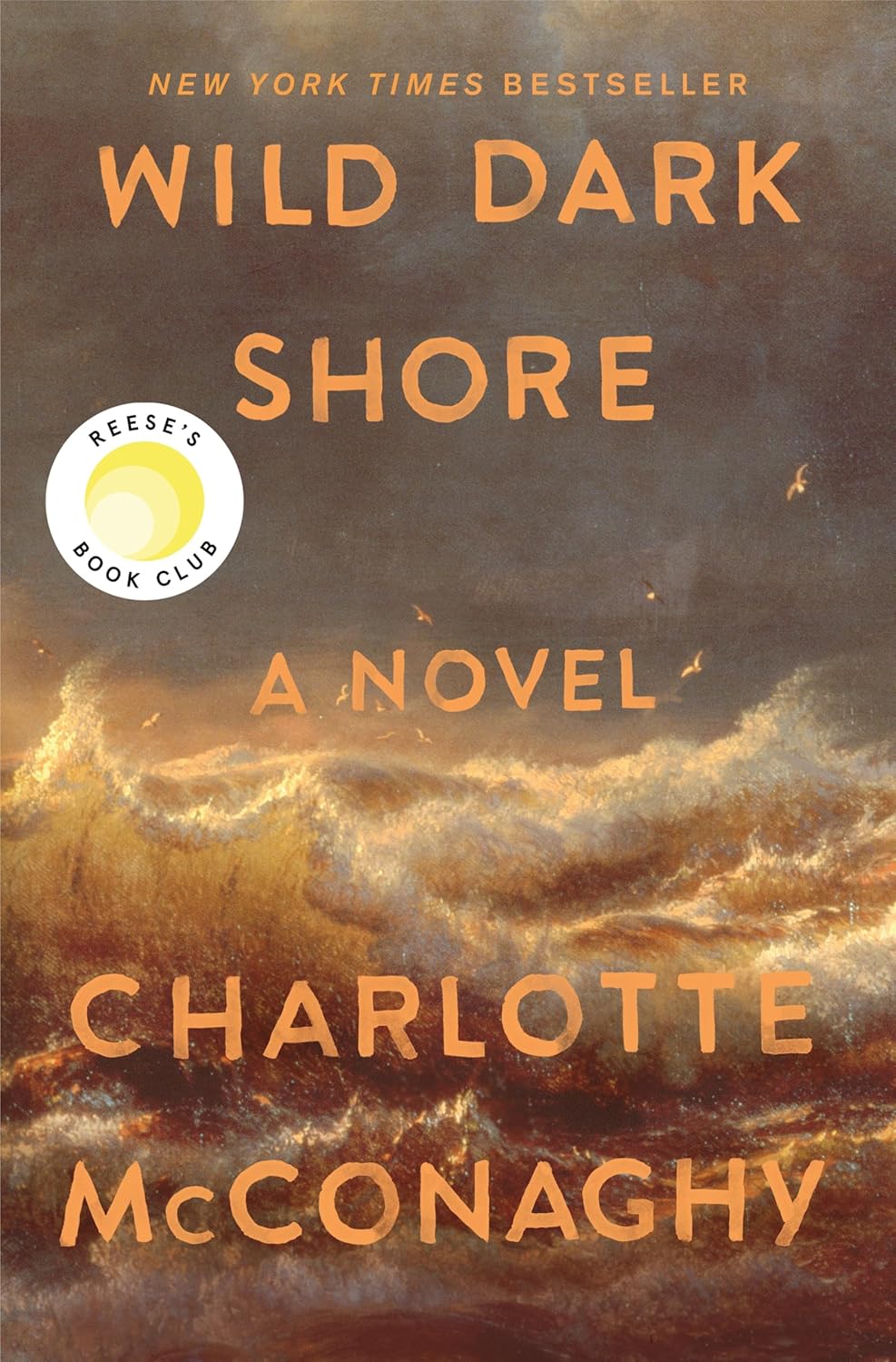 Cover of Wild Dark Shore by Charlotte McConaghy, a book about survival, secrets, and life on a remote island available in Trinidad.