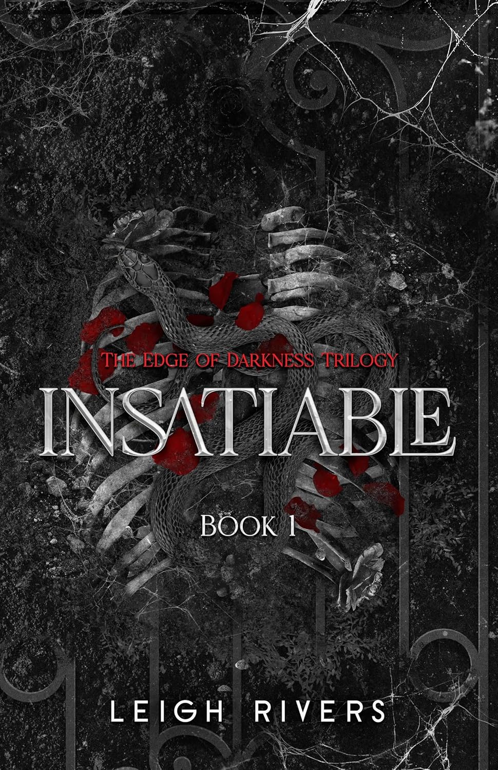 Cover of Insatiable by Leigh Rivers, a dark romance about obsession, second chances and dangerous relationships available in Trinidad.