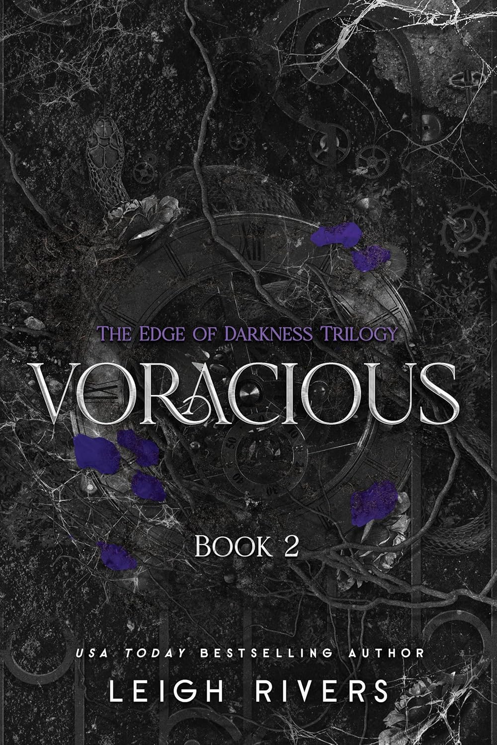 Cover of Voracious by Leigh Rivers, a dark romance about trauma, obsession and second chances available in Trinidad.