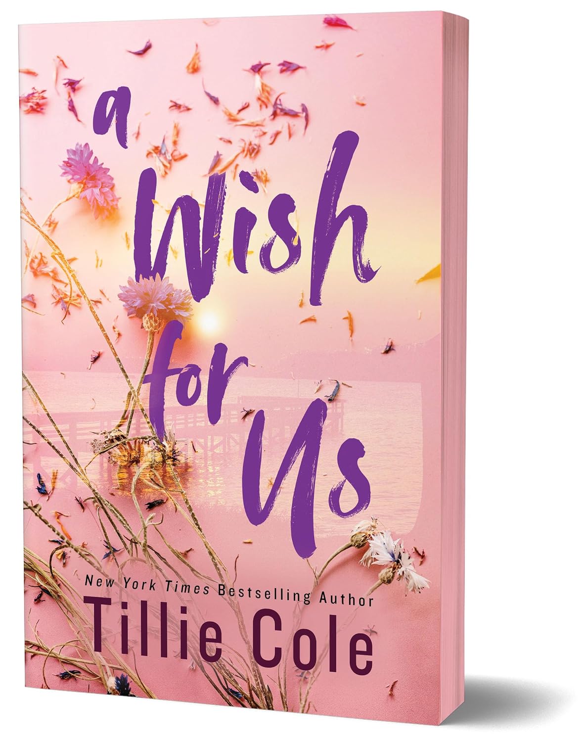 Cover of A Wish for Us by Tillie Cole.