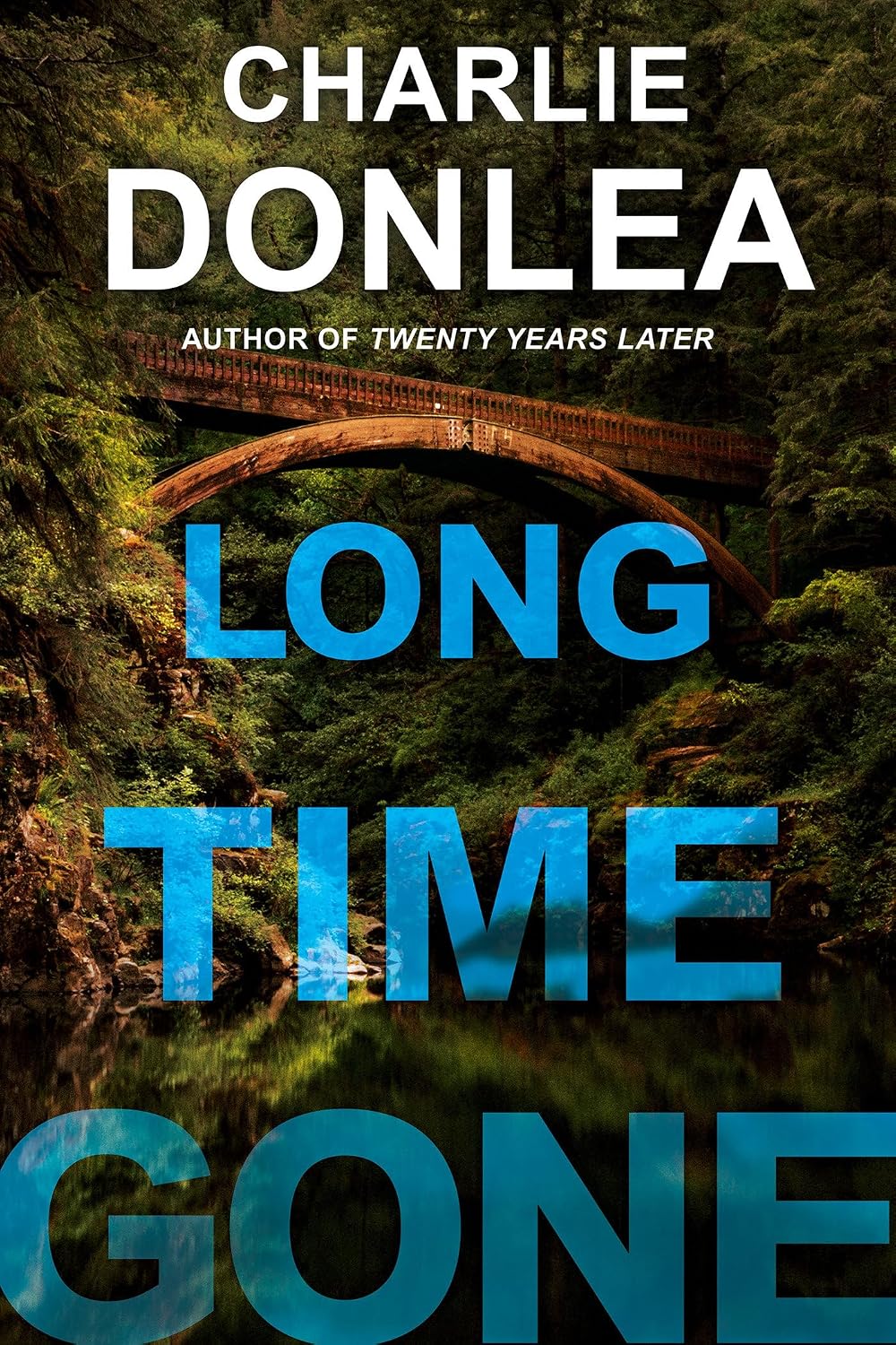 Cover of Long Time Gone by Charlie Donlea.